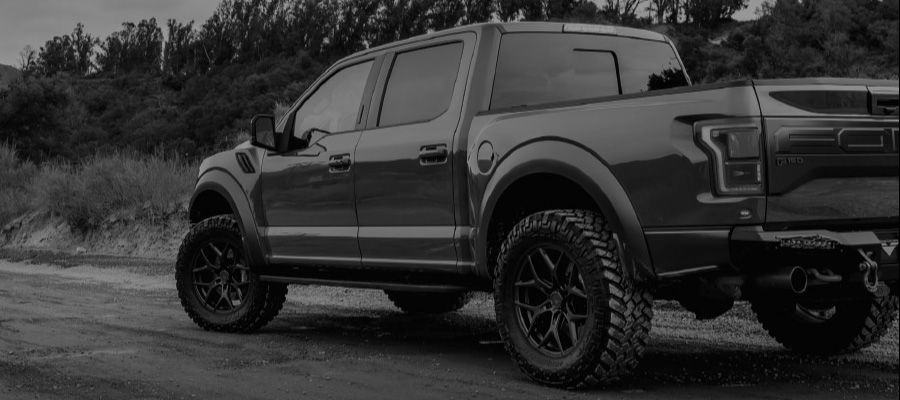 Paint Protection Film